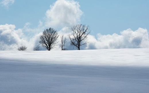 흰 눈이 가득 덮인 언덕 위에 서 있는 나무들과 푸른 하늘의 전경