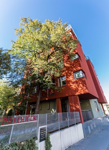 펜지온 팔로우체크