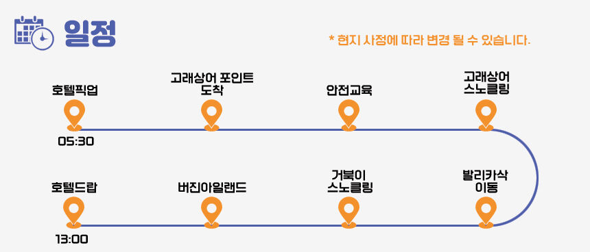 ★11월오픈예정★[보홀] 고래상어 발리카삭 호핑투어 (스노클링 거북이 버진아일랜드) 상세 이미지 6