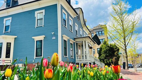 Ginkgo House on Harvard