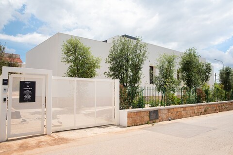 Lisetta Gardens Boutique