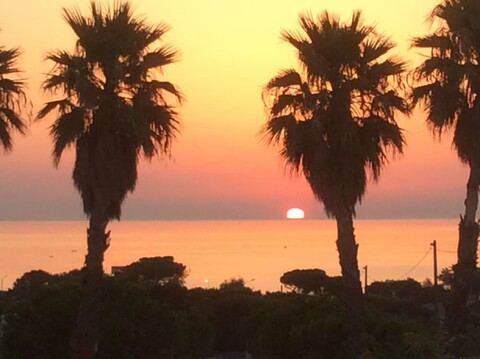 마세리아 포르티피카타 돈나로이아