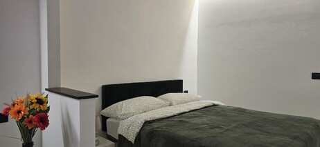 화이트 케이브- 블루샬레