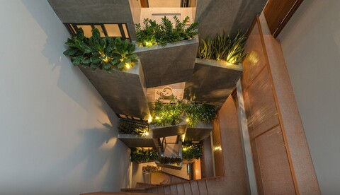 Shelter Stay Da Nang