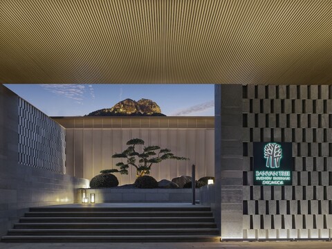 반얀 트리 수주 시산