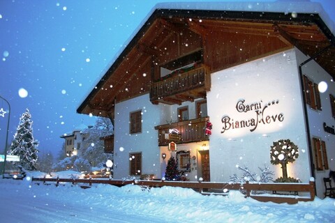 가르니 비안카네베