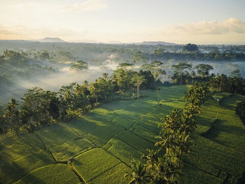 우붓 마스 글램핑 럭셔리 텐트