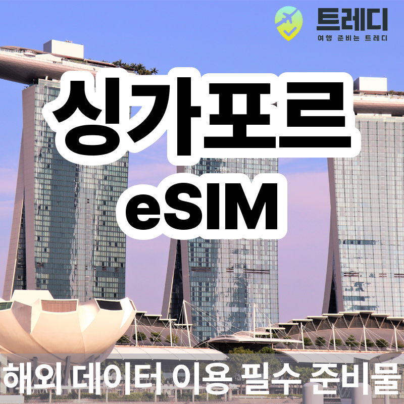 싱가포르 eSIM 매일 데이터 제공 [카톡, 이메일 바로 발송]