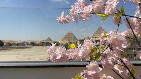 리즈크 피라미드 뷰 호텔