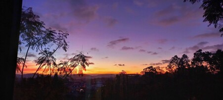 븅 트란 다이몬