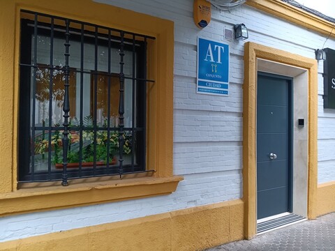 세렌디피티 히스팔리스 네르비온