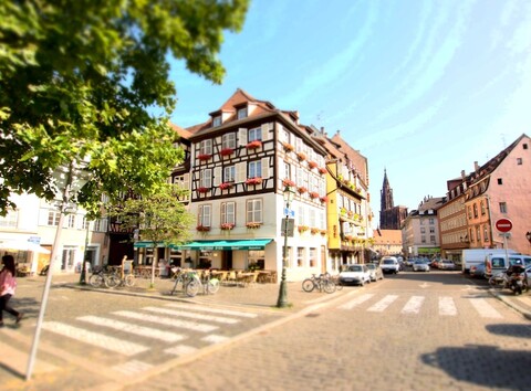 오 세르프 디오르