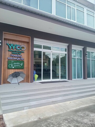 웰니스 월드 치바 89