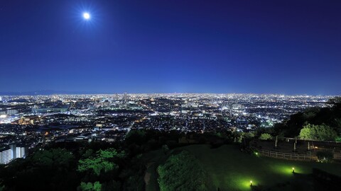 산소 카제 노 모리