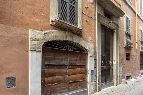 마젠타 컬렉션 카프라니카