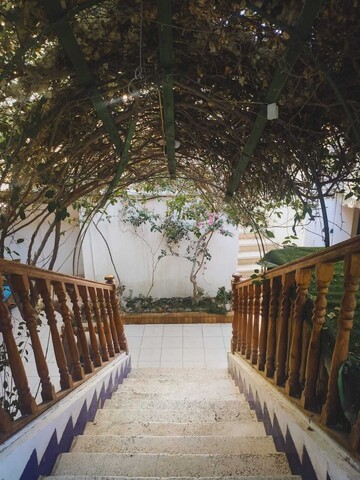 넵튠 다합 호텔