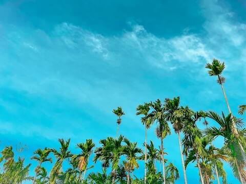 Areca Muine Homestay