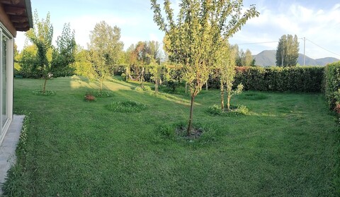 라 로사 넬 베르데