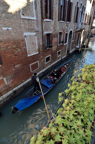 다 브루노 홈즈