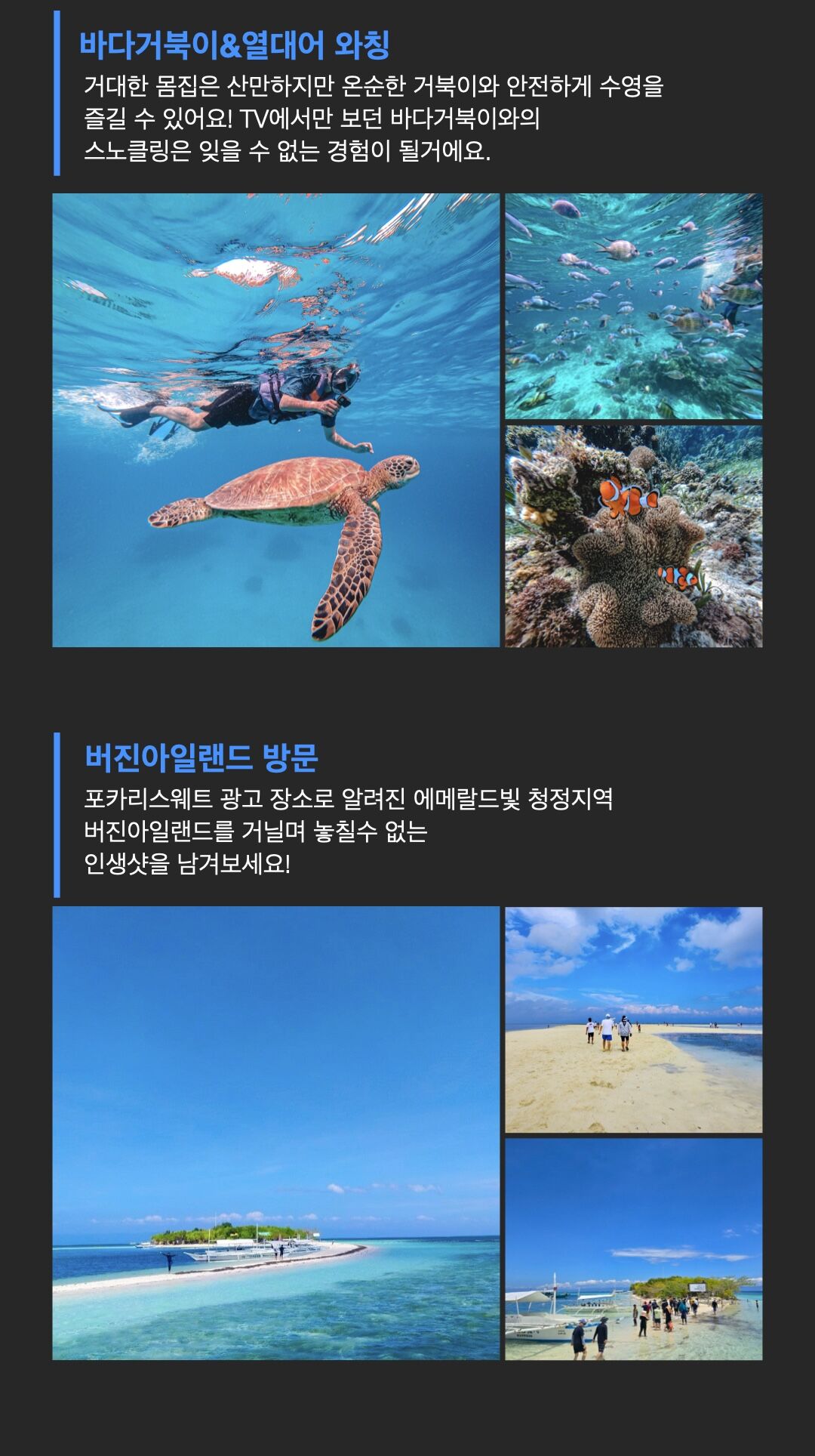 [보홀/단독] 발리카삭 호핑투어 (픽드랍•식사•입장료포함) 상세 이미지 8