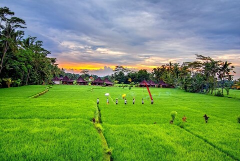 인탄 빌라 & 스위트 우붓