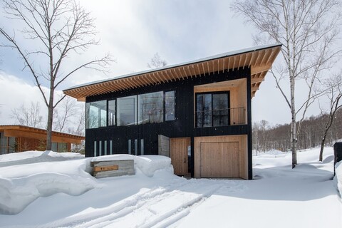 인튜이션에서의 유키 스기