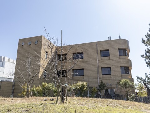 타비스트 코토히키소