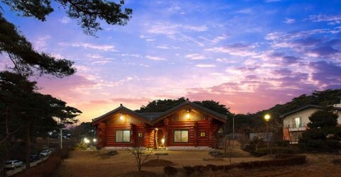 Recreational forest log cabin