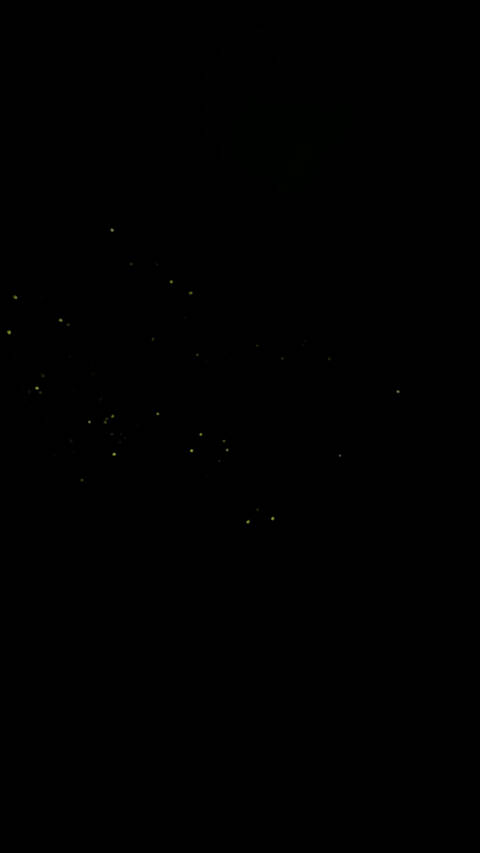 product-thumbnail-3