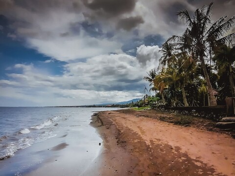 사마스티티 로비나