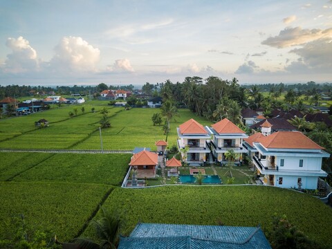 더 패트라 우붓