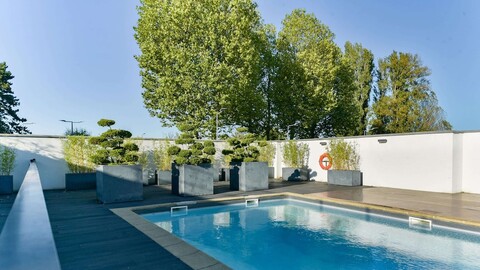 골든 튤립 로이시 세인트 위츠