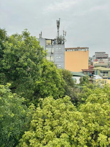 더 리틀 하노이