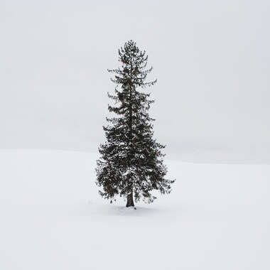 [북해도 삿포로, 비에이 투어] 우리 일행만의 프리미엄 투어. "공지사항 읽어주세요"