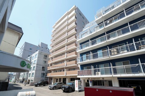 MP 스타일 포르투나