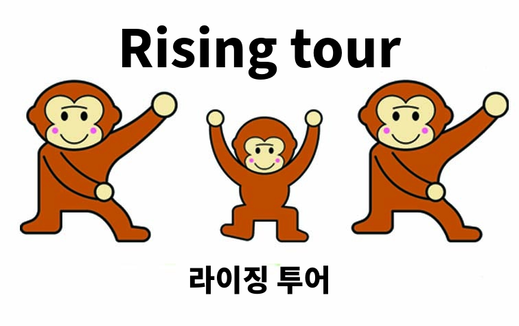 라이징 투어 (Rising tour)
