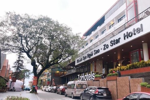 ZO 스타 탐 다오