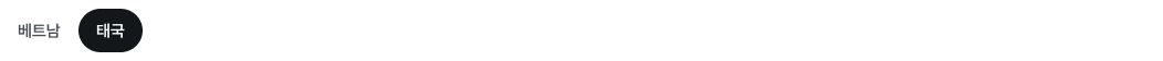 베트남.png
