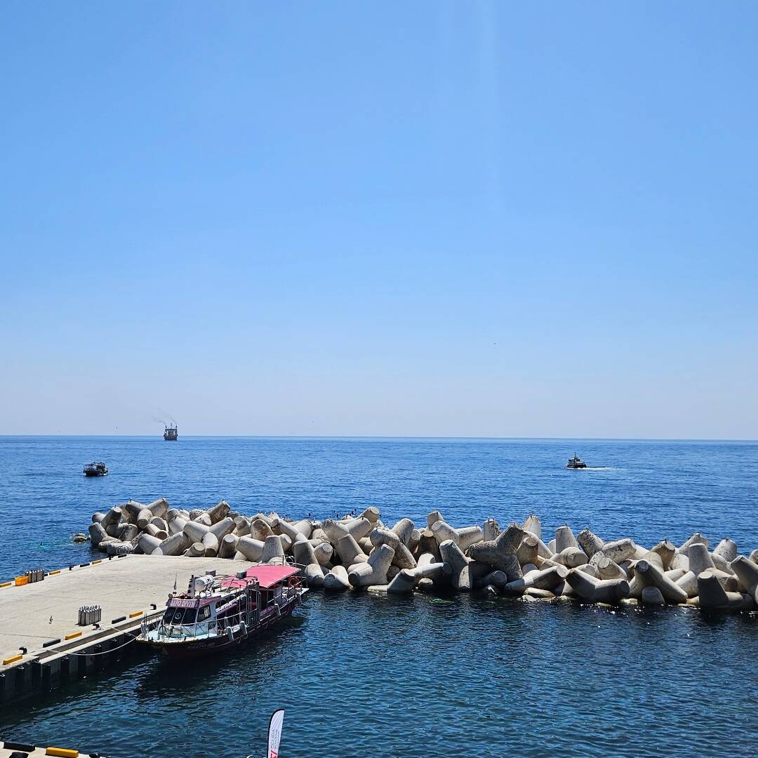 울릉도-자유톡5