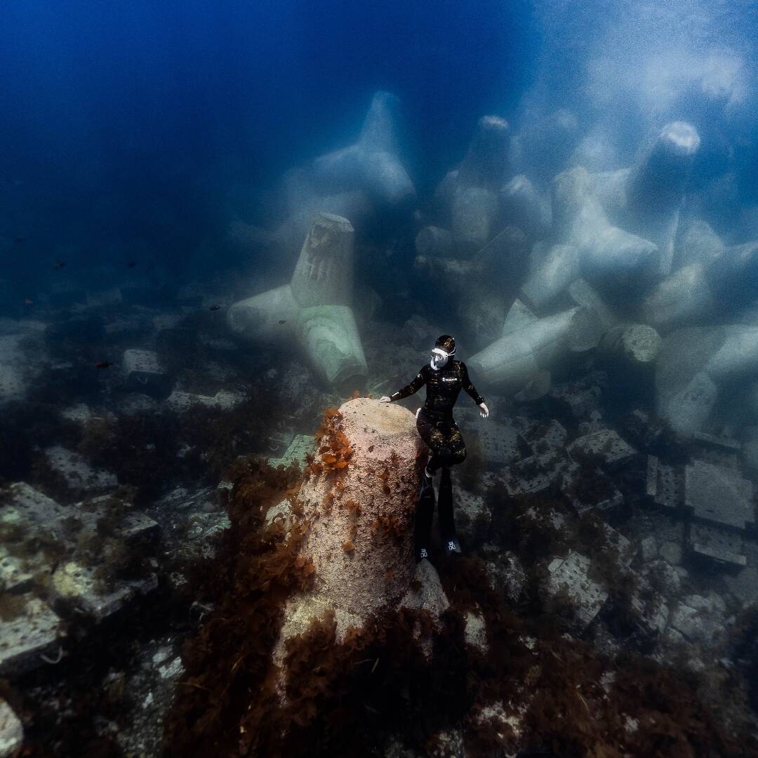 울릉도-자유톡0