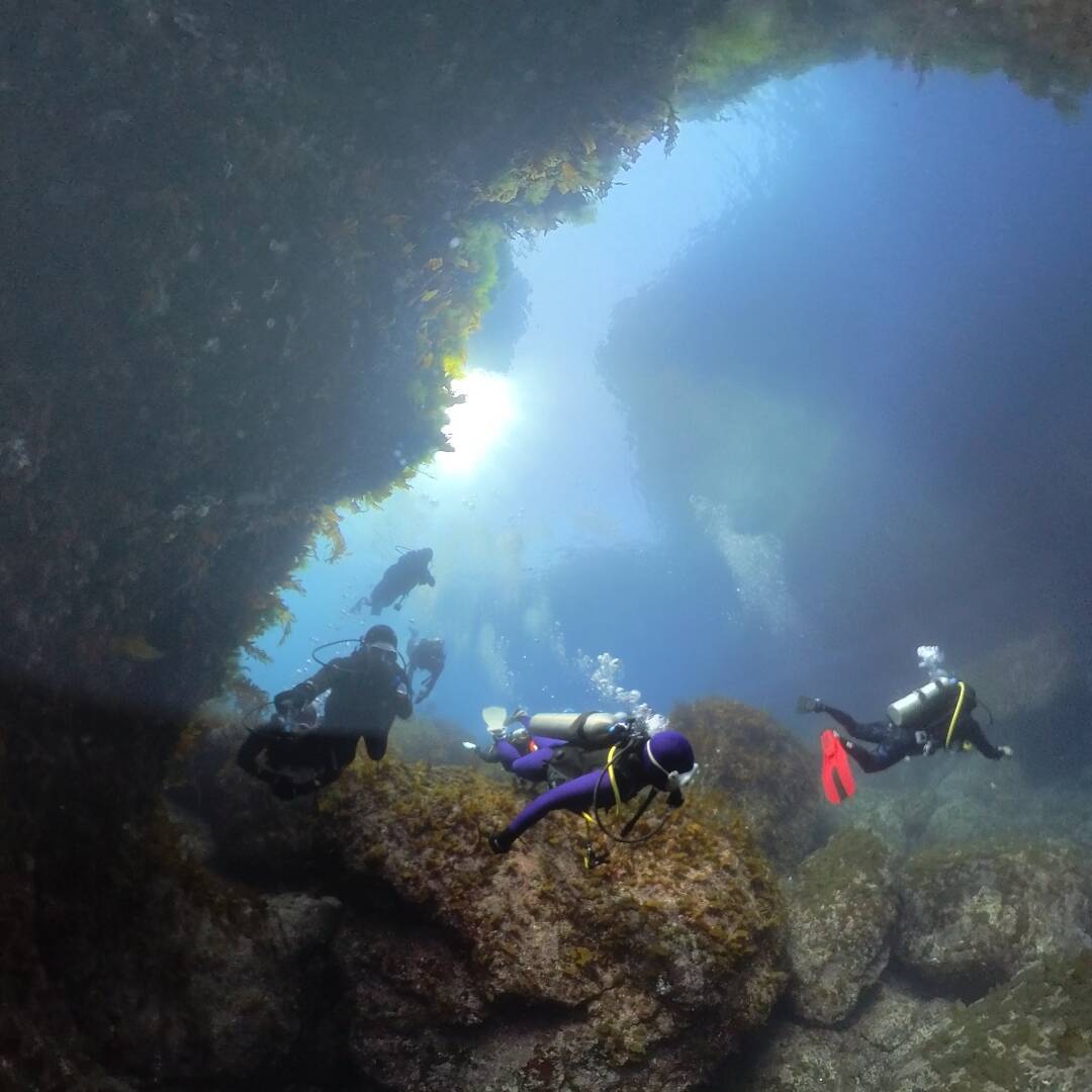 울릉도-자유톡9