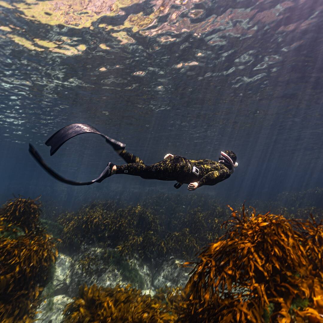 울릉도-자유톡1