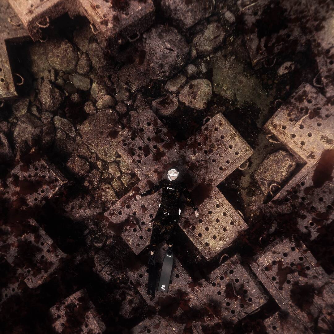 울릉도-자유톡4