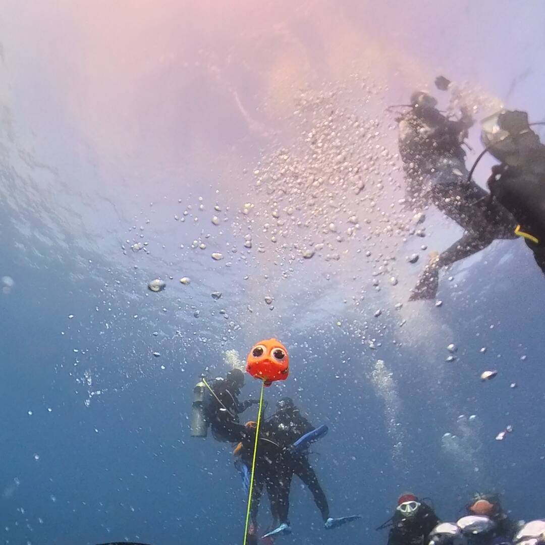 울릉도-자유톡7