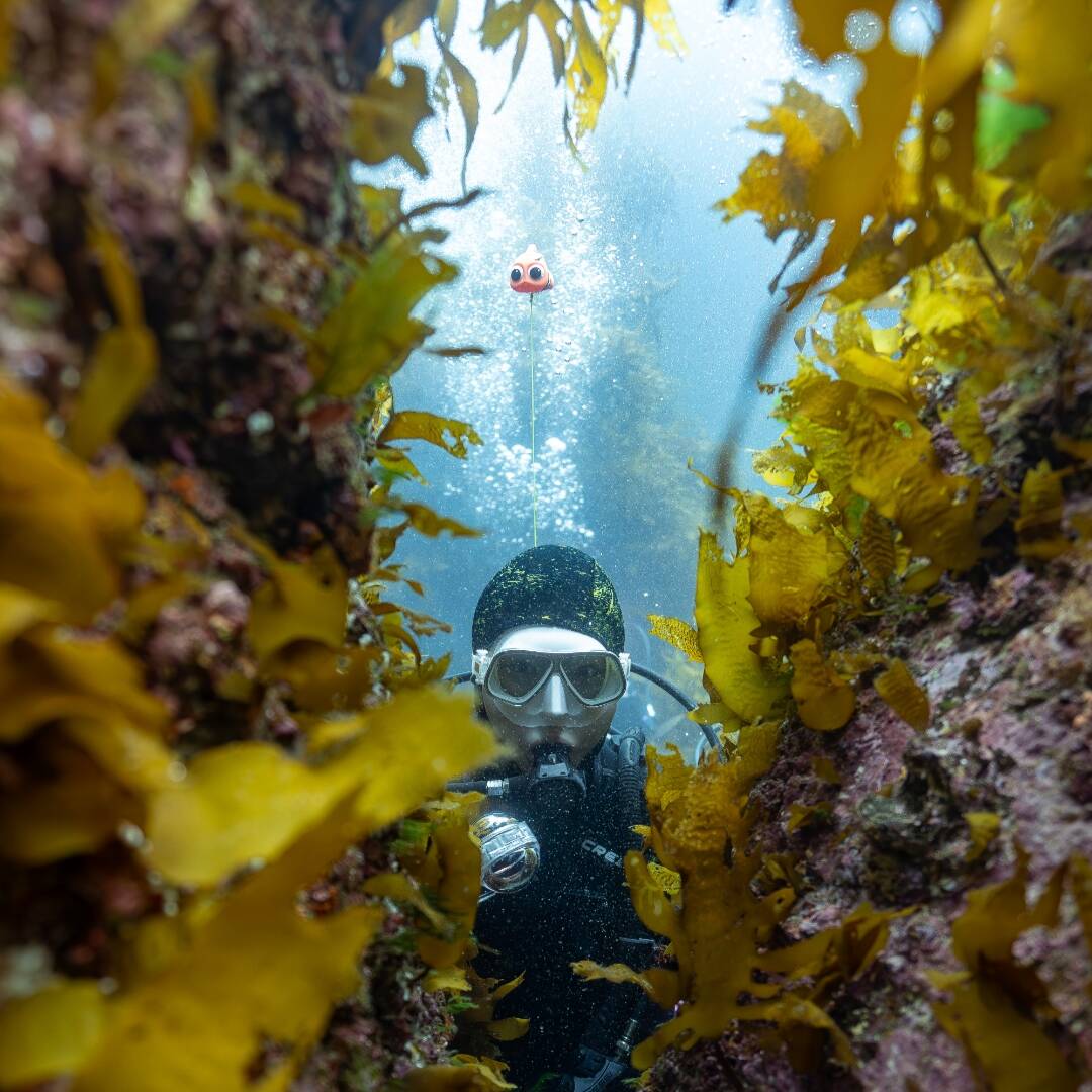 울릉도-자유톡2