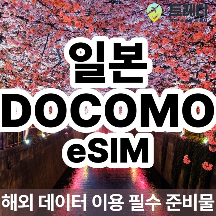 일본 eSIM IIJ 도코모 무제한 데이터 [카톡 이메일 즉시 발송]-i