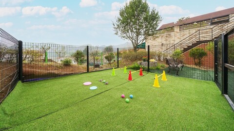 가평 오늘여기 애견 동반 펜션