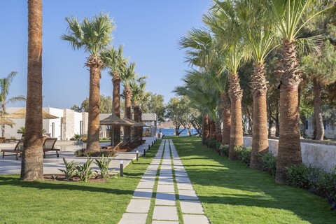 레지아 마레 비치 호텔 & 스파 보드룸