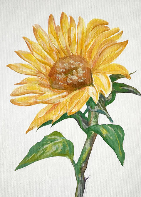 product-thumbnail-1