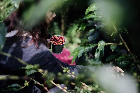 product-thumbnail-3